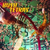 Bush Tetras - There Is A Hum in the group VINYL / Pop-Rock at Bengans Skivbutik AB (3654084)