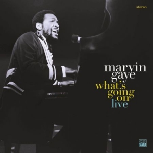 Gaye Marvin - What's Going On in the group VINYL / Vinyl Soul at Bengans Skivbutik AB (3655023)