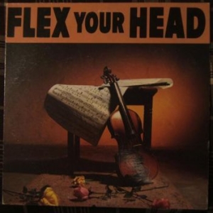 V/A - Indie Rock - Flex Your Head in the group VINYL / Pop-Rock at Bengans Skivbutik AB (3656186)