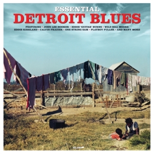 Various Artists - Esential Detroit Blues in the group OTHER / Övrigt /  at Bengans Skivbutik AB (3656242)