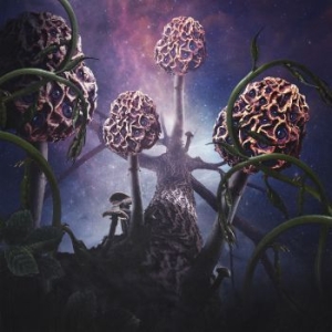 Blut Aus Nord - Hallucinogen in the group CD / Hårdrock/ Heavy metal at Bengans Skivbutik AB (3657167)