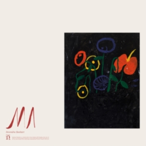 Devendra Banhart - Ma in the group CD / Pop-Rock at Bengans Skivbutik AB (3658279)