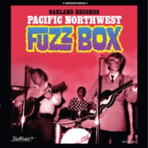 Garland Records - Pacific Northwest Fuzz Box in the group CD / Pop-Rock at Bengans Skivbutik AB (3659020)