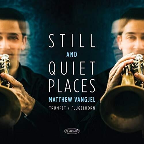 Vangjel Matthew - Still And Quiet Places in the group CD / Pop at Bengans Skivbutik AB (3664506)