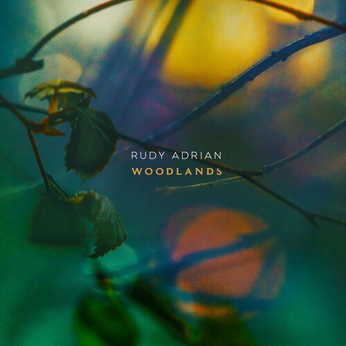 Adrian Rudy - Woodlands in the group CD / Pop at Bengans Skivbutik AB (3664522)