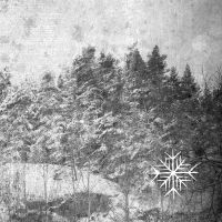 Nocturnalia - Iii Winter Cd in the group OTHER / -Start CD at Bengans Skivbutik AB (3665901)