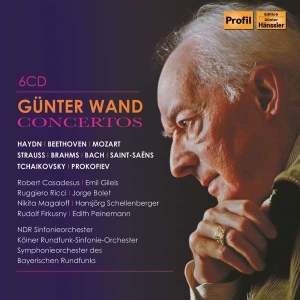 Various - Concertos (6 Cd) in the group Externt_Lager /  at Bengans Skivbutik AB (3666042)