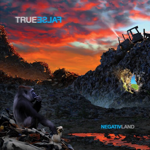 Negativland - True False in the group CD / Rock at Bengans Skivbutik AB (3669286)