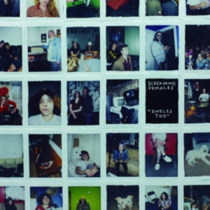 Screaming Females - Singles Too in the group CD / Pop-Rock at Bengans Skivbutik AB (3670175)