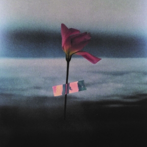 Samson Will - Paralanguage (Clear Vinyl) in the group VINYL / Pop-Rock at Bengans Skivbutik AB (3672881)