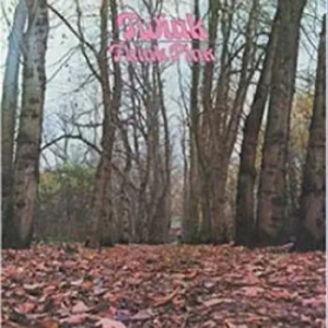 Twink - Twink Pink in the group VINYL / Rock at Bengans Skivbutik AB (3675562)