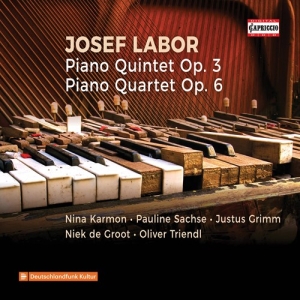 Labor Josef - Piano Quintet Op. 3, Piano Quartet in the group Externt_Lager /  at Bengans Skivbutik AB (3676740)