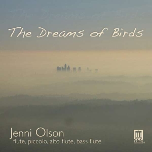 Olson - The Dreams Of Birds in the group Externt_Lager /  at Bengans Skivbutik AB (3677210)
