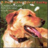 Various - A Day In The Life Of Lucky in the group CD / Bestsellers at Bengans Skivbutik AB (3677297)