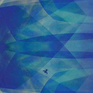 Baptista Cyro - Bluefly in the group CD / Pop-Rock at Bengans Skivbutik AB (3681471)