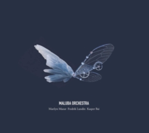 Maluba Orchestra - Maluba Orchestra in the group VINYL / Jazz at Bengans Skivbutik AB (3690024)