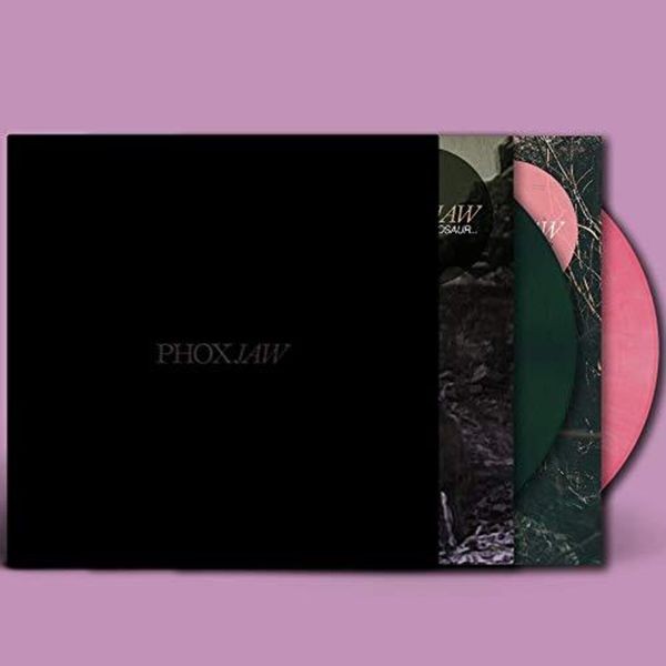 PHOXJAW - Goodbye Dinosaur/A Playgropund For in the group VINYL / Rock at Bengans Skivbutik AB (3690405)