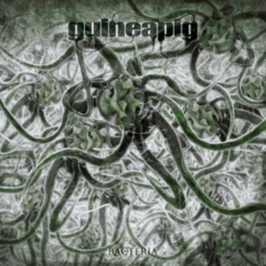 Guineapig - Bacteria in the group OTHER / Övrigt /  at Bengans Skivbutik AB (3691879)