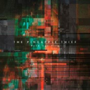 Pineapple Thief - Hold Our Fire in the group OUR PICKS / Blowout / Blowout-CD at Bengans Skivbutik AB (3694355)