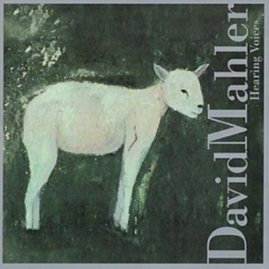 Mahler David - Hearing Voices in the group OTHER / Övrigt /  at Bengans Skivbutik AB (3694649)