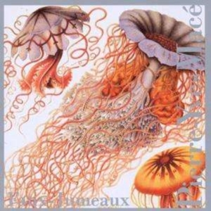 Mace Pierre-Yves - Faux-Jumeaux in the group OTHER / Övrigt /  at Bengans Skivbutik AB (3694662)