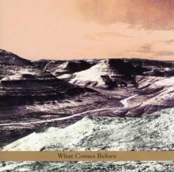 Goldberg / Schott / Sarin Trio - What Comes Before in the group CD / Jazz/Blues at Bengans Skivbutik AB (3694703)