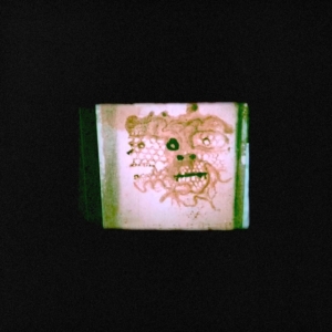 Orrick Chris & The Lasso - I Read That I Was Dead in the group VINYL / Hip Hop at Bengans Skivbutik AB (3700894)