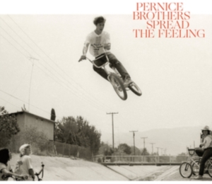 Pernice Brothers - Spread The Feeling in the group CD / Pop-Rock at Bengans Skivbutik AB (3701132)