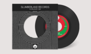 Lake Ruth - Extended Leave in the group VINYL / Rock at Bengans Skivbutik AB (3701143)