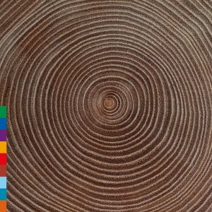 Ali Khan Amjad - Moksha in the group CD / Elektroniskt,Pop-Rock,World Music at Bengans Skivbutik AB (3701150)