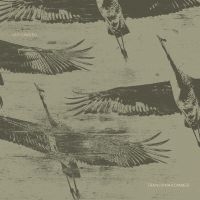 Ulf Lundell - Tranorna Kommer in the group CD / Pop-Rock at Bengans Skivbutik AB (3702222)