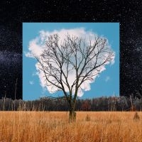 Fink - Bloom Innocent in the group CD / Pop-Rock at Bengans Skivbutik AB (3704385)
