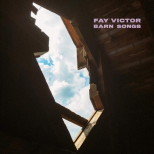 Victor Fay - Darn Songs in the group OTHER / Övrigt /  at Bengans Skivbutik AB (3704817)