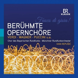 Various - Beruhmte Opernchore in the group Externt_Lager /  at Bengans Skivbutik AB (3715392)