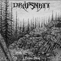 Dråpsnatt - I Denna Skog in the group CD / Hårdrock,Svensk Folkmusik at Bengans Skivbutik AB (3717020)