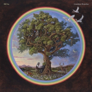 Bill Fay - Countless Branches (Deluxe Version) in the group CD / Pop-Rock at Bengans Skivbutik AB (3722088)