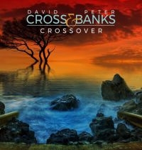 Cross David And Peter Banks - Crossover in the group CD / Pop-Rock at Bengans Skivbutik AB (3727106)