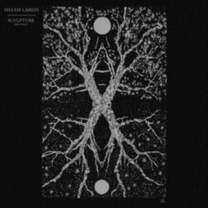 Larein Shaam - Sculpture in the group CD / Pop-Rock at Bengans Skivbutik AB (3727115)