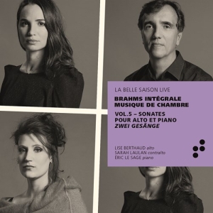 Brahms Johannes - Integrale Musique De Chambre - Sona in the group CD / Upcoming releases / Classical at Bengans Skivbutik AB (3728693)