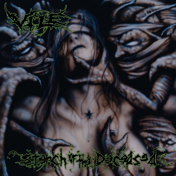 Vile - Stench Of The Deceased in the group VINYL / Bestsellers at Bengans Skivbutik AB (3728935)