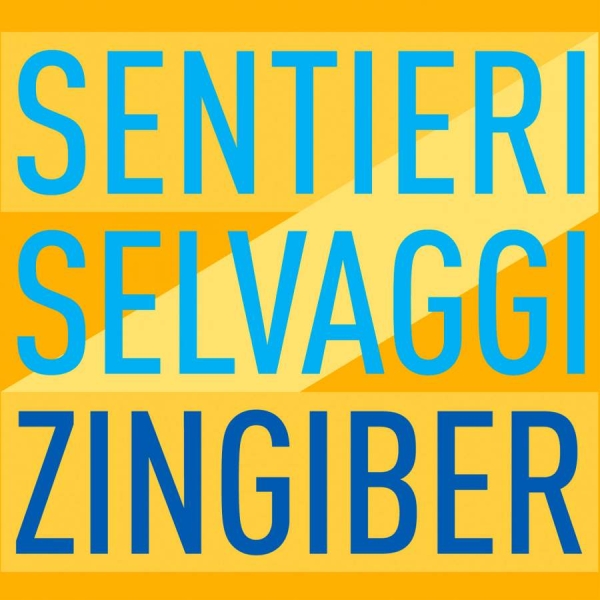 Various - Zingiber in the group Externt_Lager / at Bengans Skivbutik AB (3729253)