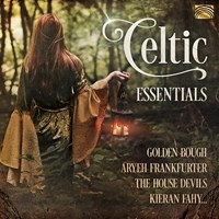 Various - Celtic Essentials in the group Externt_Lager /  at Bengans Skivbutik AB (3733856)