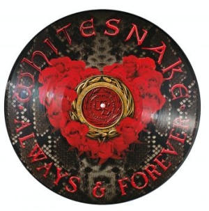 Whitesnake - Always & Forever (Ltd Ed Picture Di in the group VINYL / Hårdrock/ Heavy metal at Bengans Skivbutik AB (3734527)
