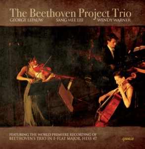 Beethoven Ludwig Van - The Beethoven Project Trio in the group Externt_Lager /  at Bengans Skivbutik AB (3734724)