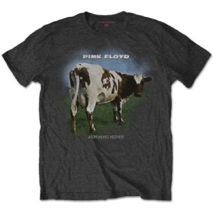   in the group Minishops / Pink Floyd at Bengans Skivbutik AB (3739622r)