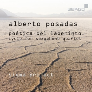 Posadas Alberto - Poetica Del Laberinto - Cycle For S in the group CD at Bengans Skivbutik AB (3743362)