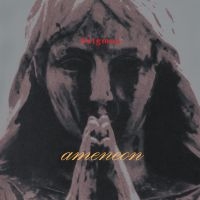 Seigmen - Ameneon in the group VINYL / Pop-Rock at Bengans Skivbutik AB (3743903)