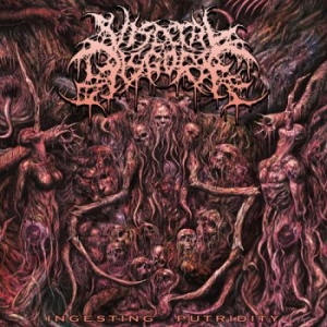 Visceral Disgorge - Ingesting Putridity in the group VINYL / Hårdrock at Bengans Skivbutik AB (3743966)