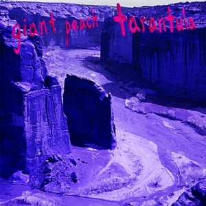 Giant Peach - Tarantula in the group OTHER / Övrigt /  at Bengans Skivbutik AB (3744345)