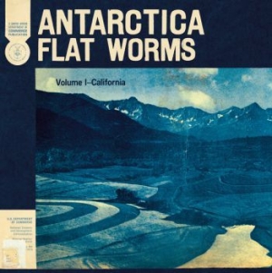 Flat Worms - Antarctica in the group Rock at Bengans Skivbutik AB (3747681)